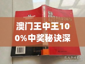 澳门王中王100%期期中,精细化执行计划_D版97.699