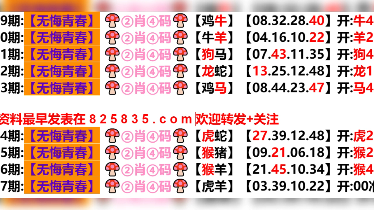 2024年新奥门天天开彩,实际数据说明_冒险版60.916