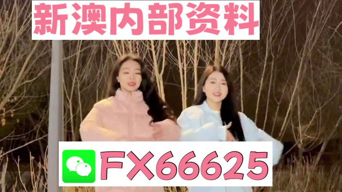 7777888888管家婆精准一肖中管家,动态词语解释落实_升级版6.33