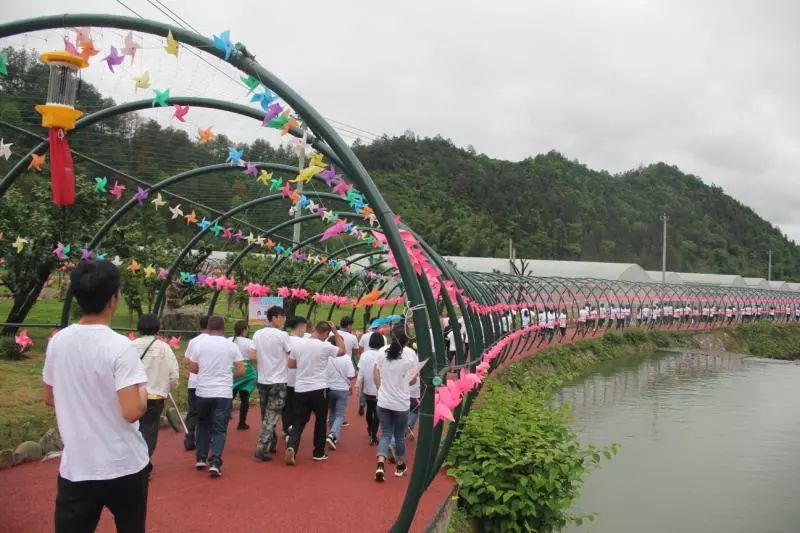 百江镇新星项目，引领地区发展的璀璨明珠