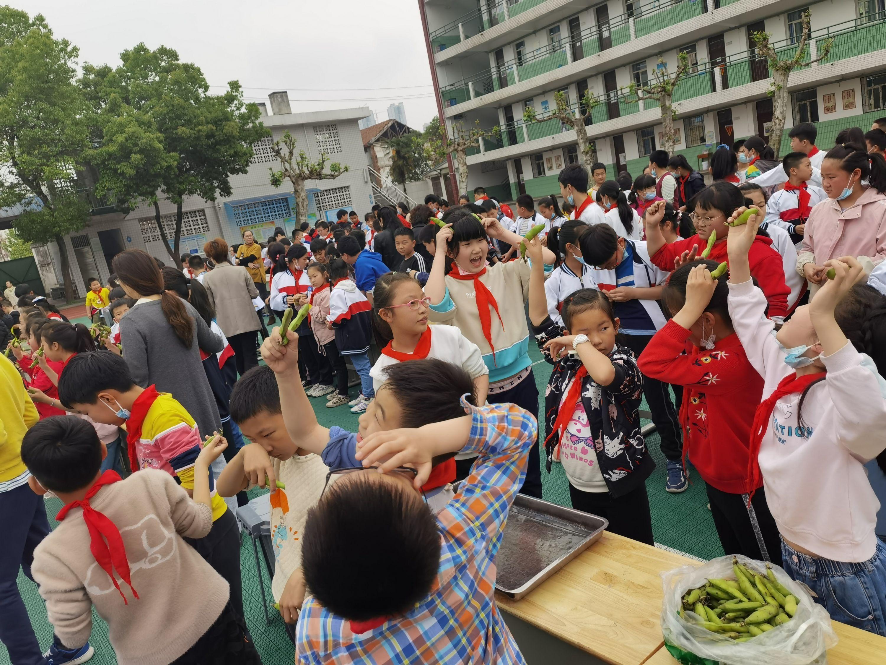 钢城区小学最新发展规划