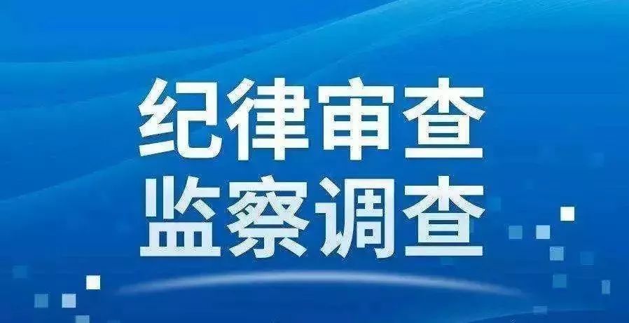 利发盛镇新领导团队引领未来，共筑辉煌新篇章