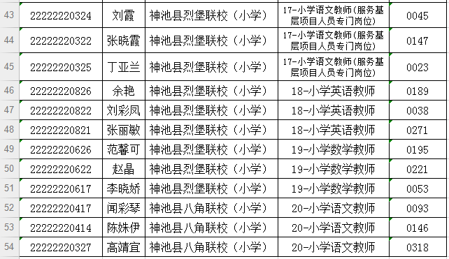 神池县小学最新招聘公告概览