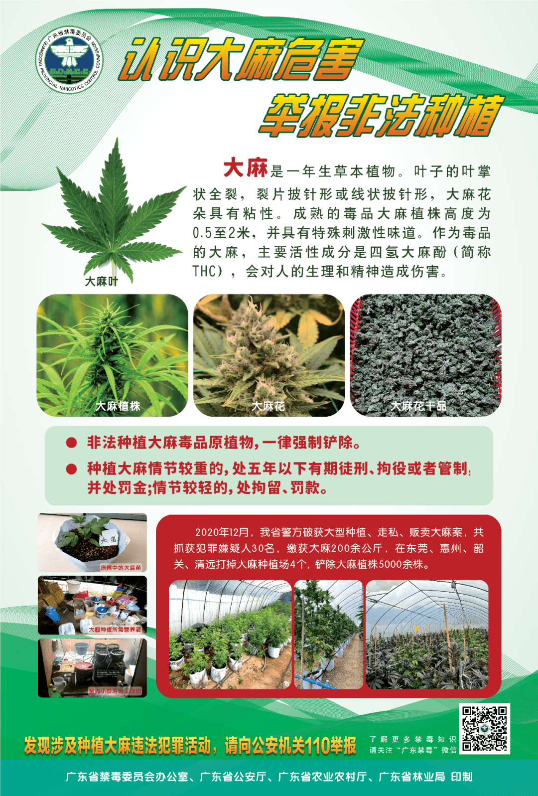 大麻镇最新招聘信息全面解析