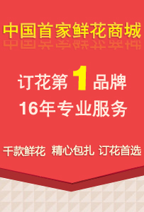 苟具村民委员会最新招聘公示启事