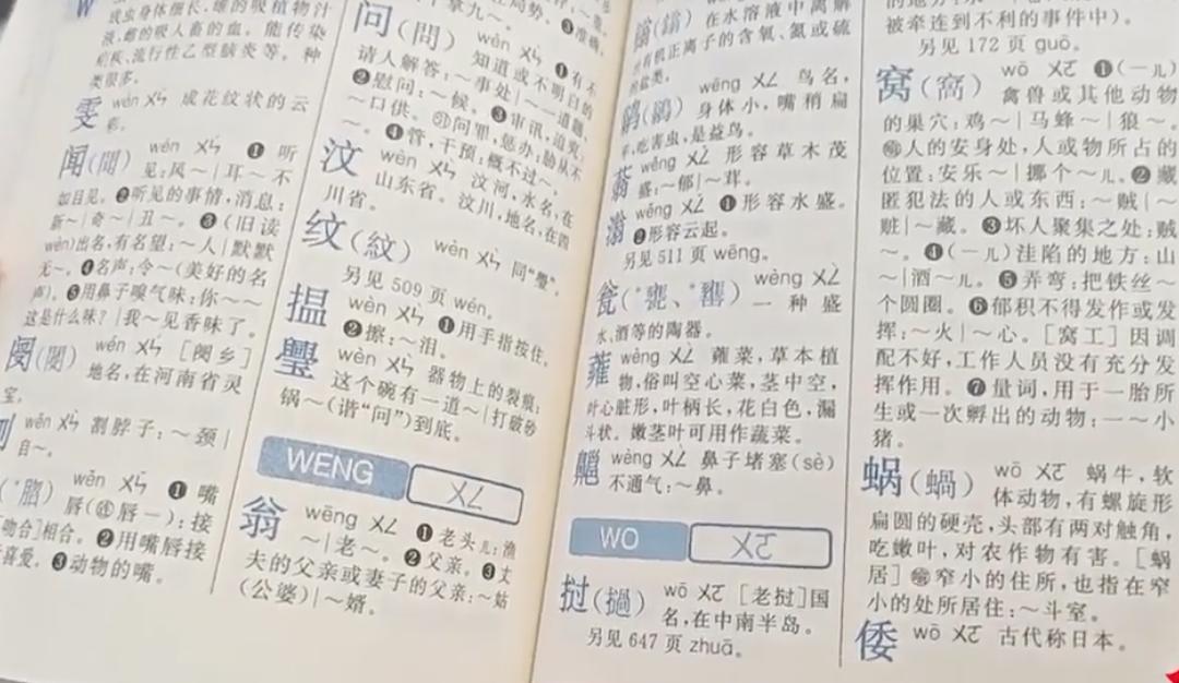 最新版字典，探寻语言新领域之旅