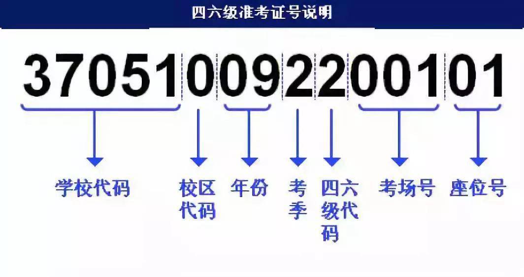 濠江论坛澳门资料2024,快速解答方案解析_6DM21.995