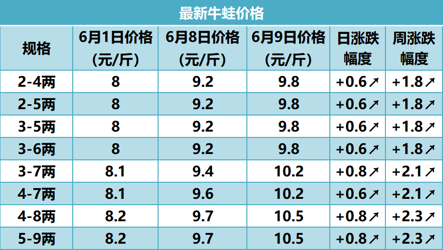 广东牛蛙最新价格动态与市场解析