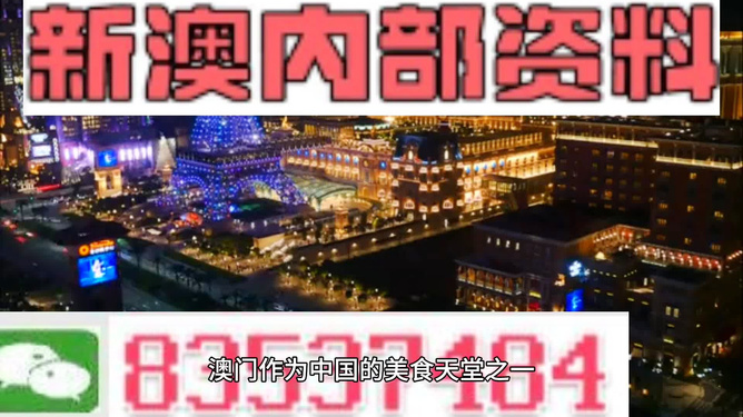 澳门资料大全+正版资料今天的,动态调整策略执行_专业版2.266