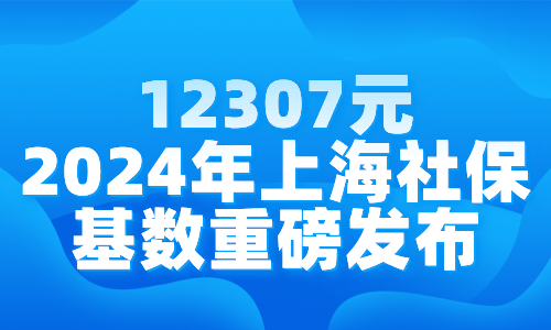 2024年香港开奖结果记录,权威解读说明_经典款12.911