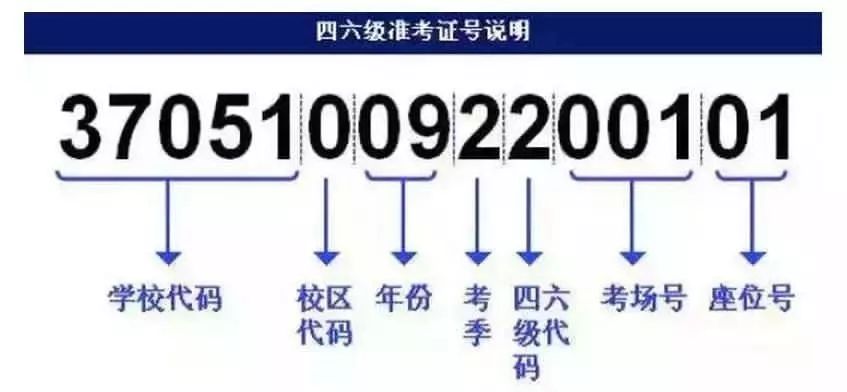 澳门一码一肖一特一中直播,实地策略计划验证_进阶款22.368