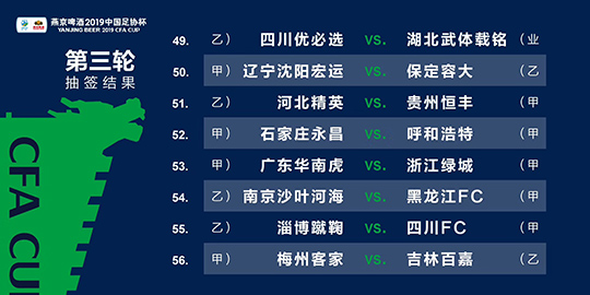 新澳2024年精准一肖,绝对经典解释落实_标准版90.65.32