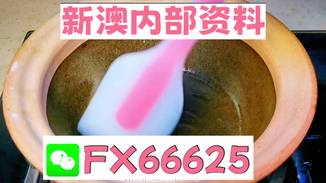 新澳精准资料免费提供510期,动态词语解释落实_4K版56.912