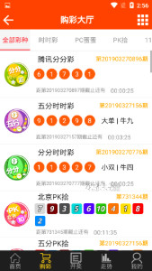 王中王最准一肖100免费公开,实践评估说明_游戏版88.80