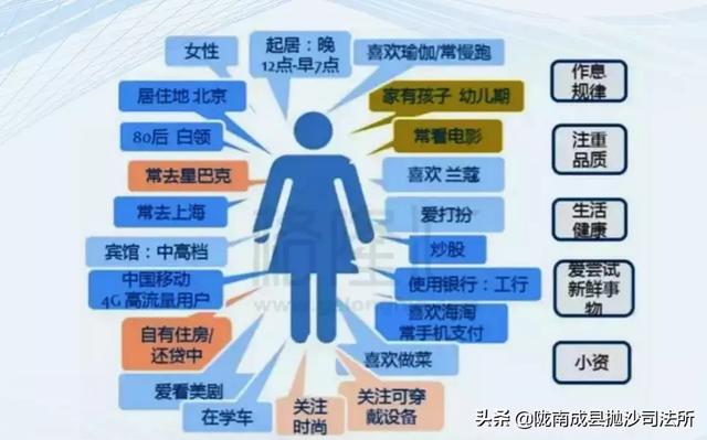 新奥天天免费资料大全,全面数据执行方案_CT76.574