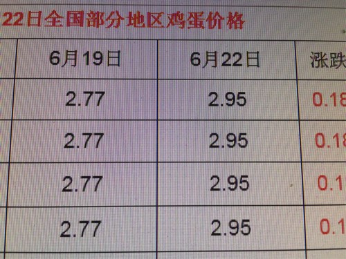 北京鸡蛋今日最新报价，市场走势及影响因素深度解析