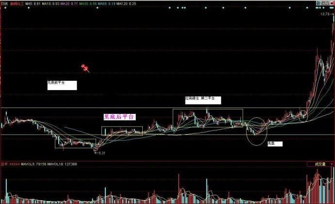 全面解析，最新消息揭示关于600618的最新动态