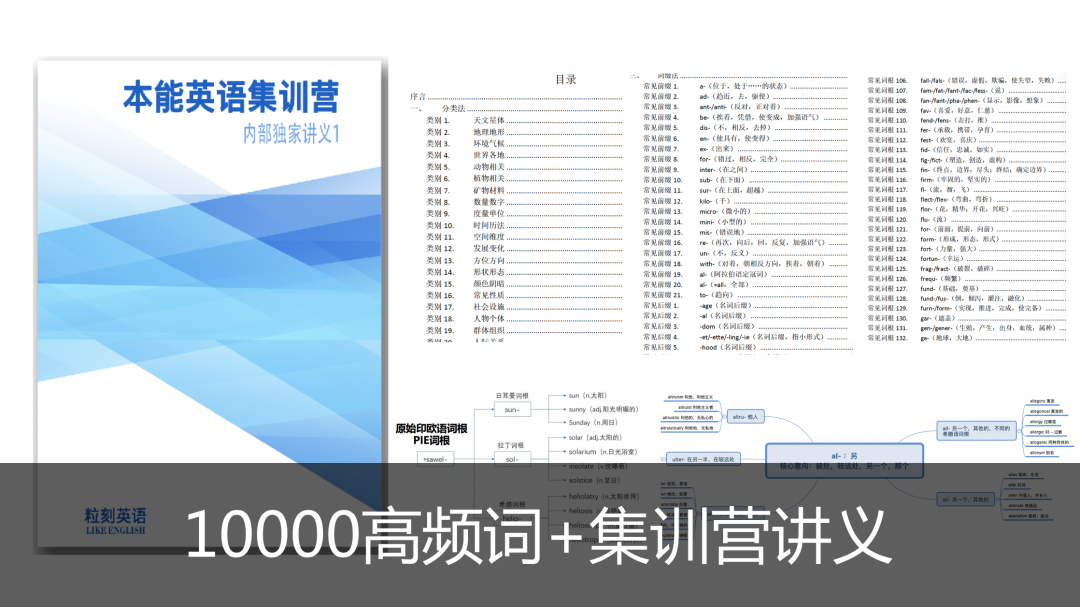 正版资料免费资料大全十点半,可靠性策略解析_V228.893