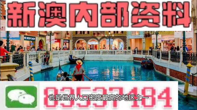 澳门精准的资料大全192集,动态调整策略执行_复古款46.87.44