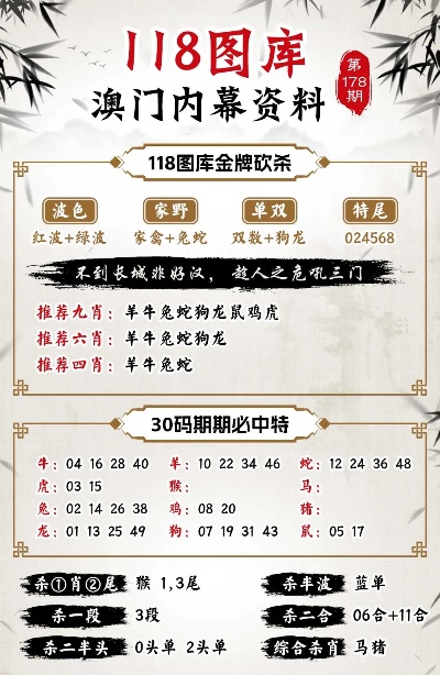 澳门九点半9点半网站,系统分析解释定义_运动版45.167