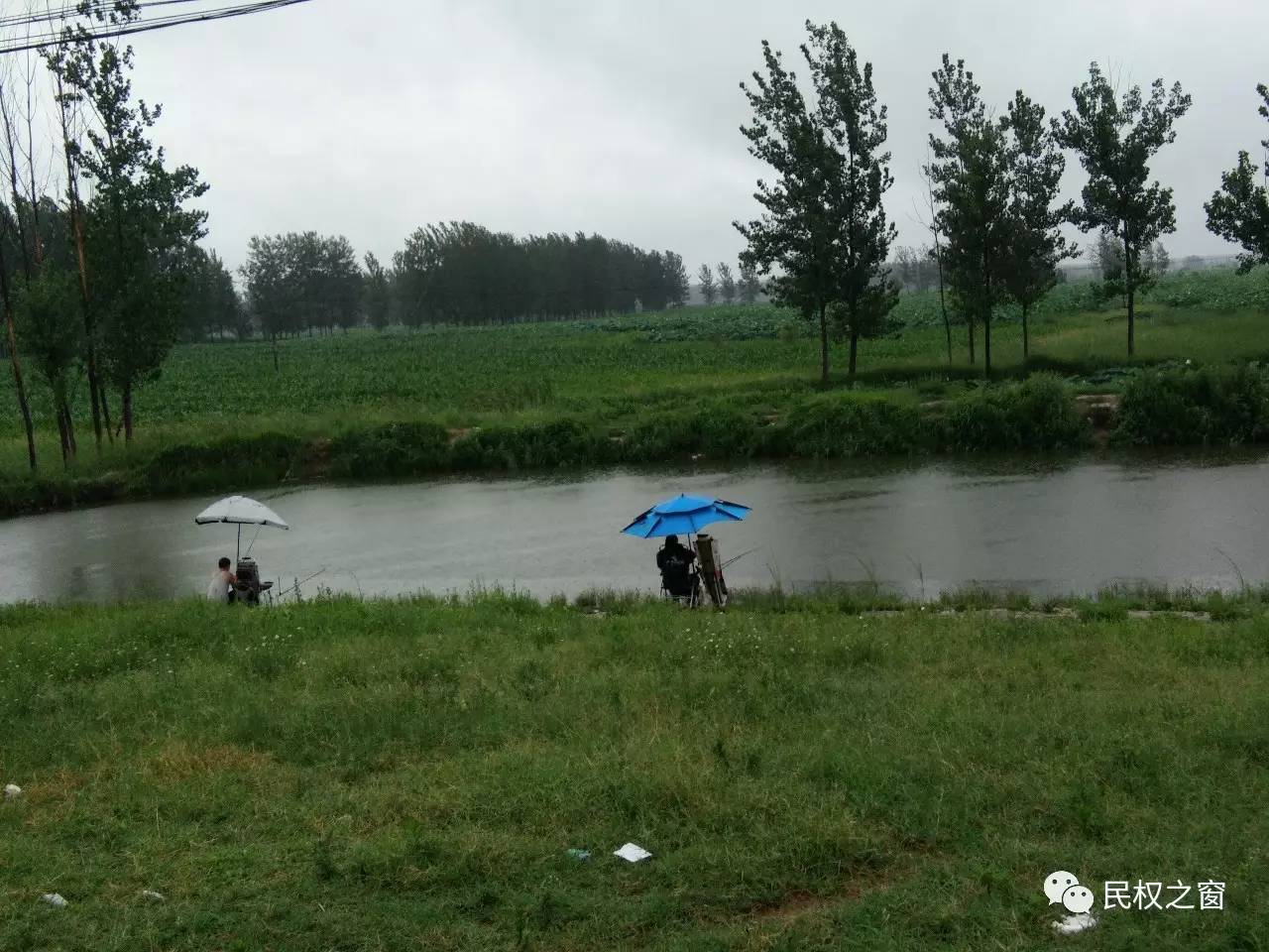 民权湿地公园最新动态，绿色生态建设迈入新篇章