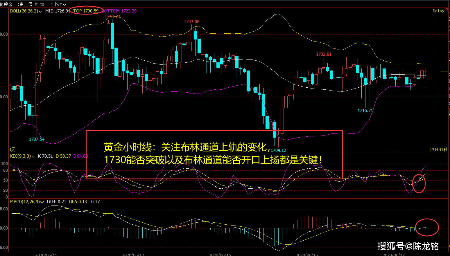 白小姐今晚特马期期准六,数据驱动分析解析_WP版48.16