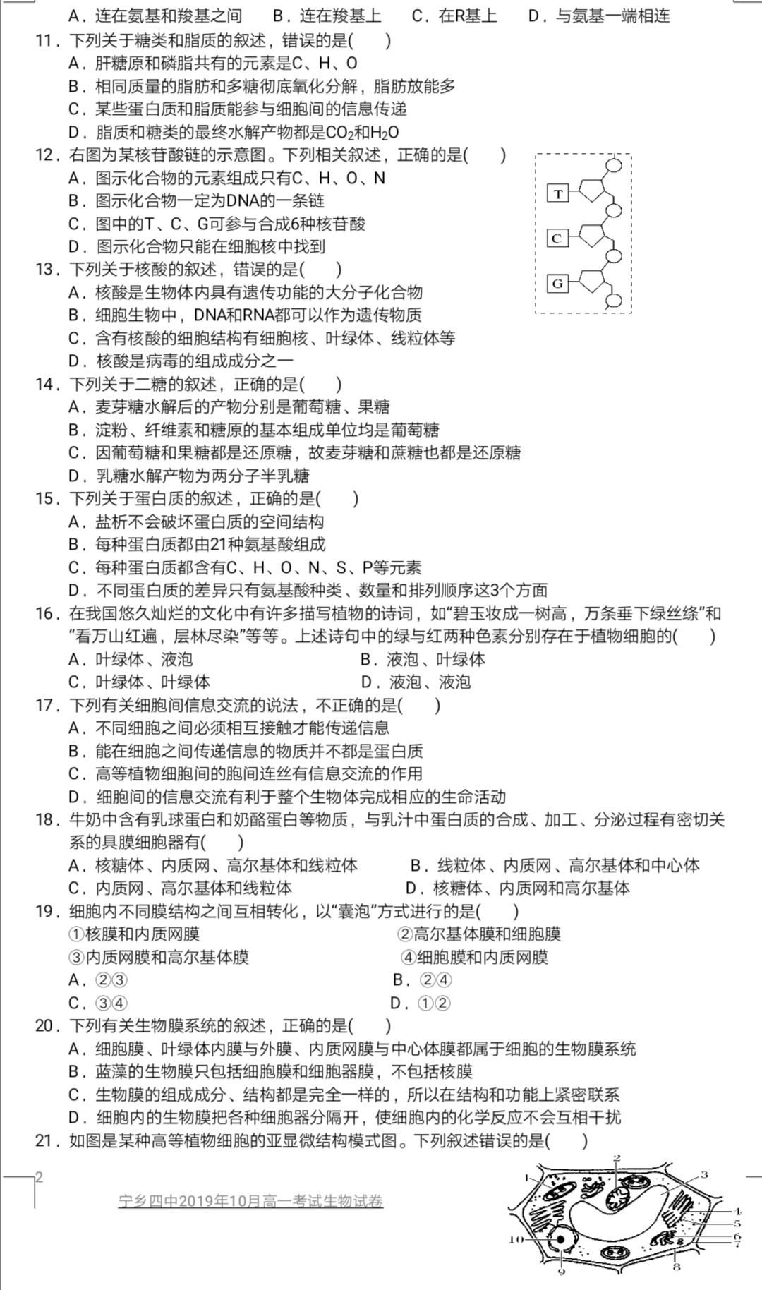 2024澳门天天开好彩大全最新版本下载,最新答案解析说明_D版73.680