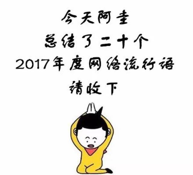 最新网络词语2017，流行文化的语言演变与趋势深度解析