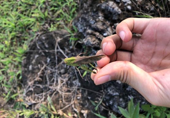 「工地冲突视频曝光，凸显工地安全问题的紧迫性」