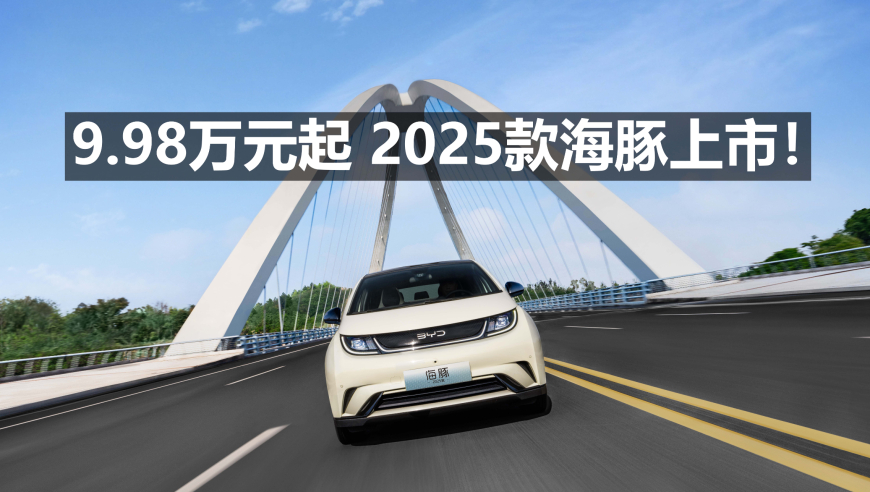 新澳2024资料大全免费,科学分析解析说明_精英款58.355