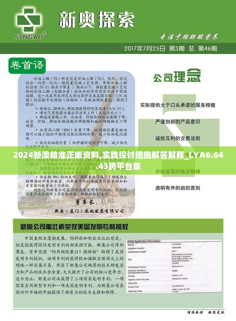 新澳2024年精准资料,定性说明评估_XP94.984