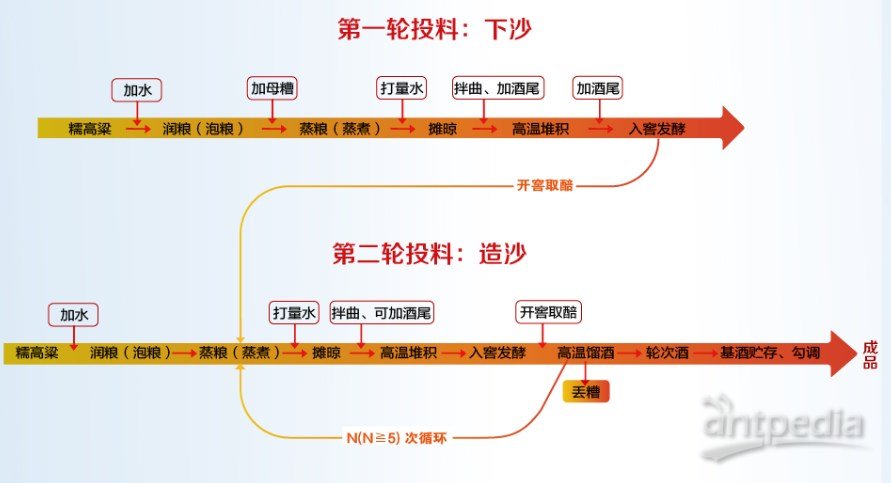 2024新澳正版免费资料的特点,实际案例解释定义_探索版49.266