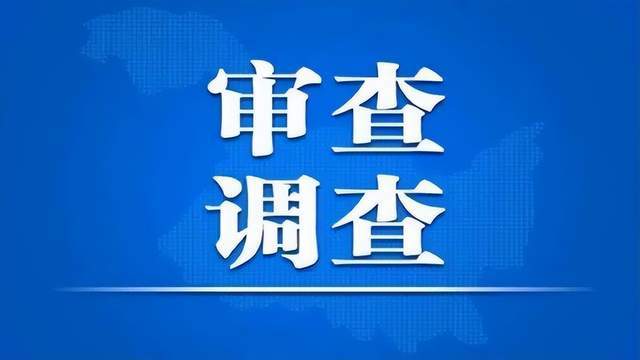 鹤岗市林业局领导团队，引领绿色发展的先锋力量