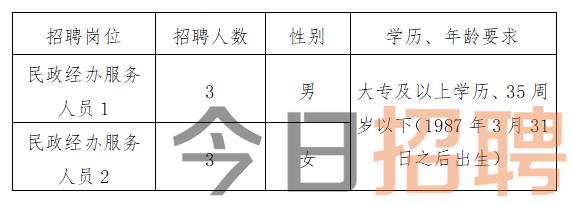 扬州市地方税务局最新招聘启事概览