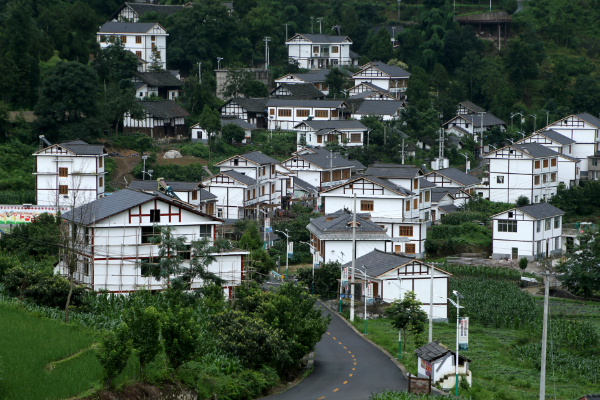 如康村最新交通动态报道