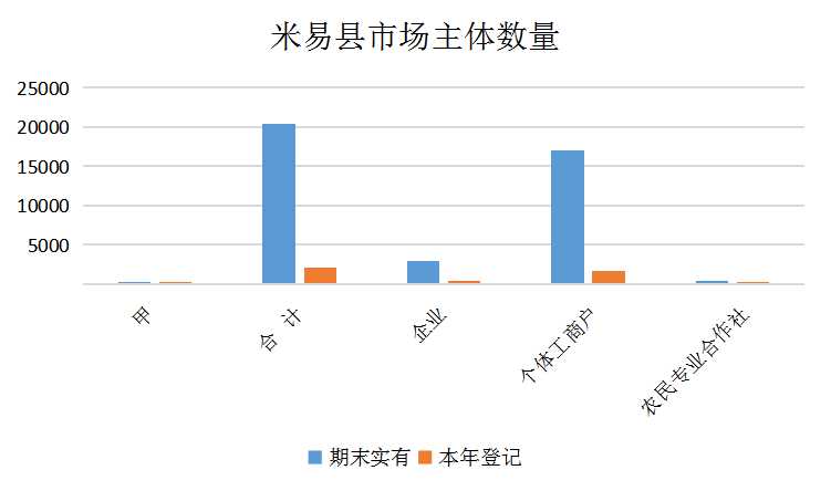 米易县统计局发展规划展望，助力县域经济腾飞探索之旅