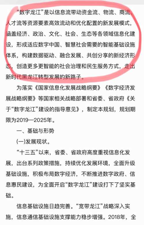 龙江县公安局现代化警务体系发展规划，提升社会治理效能