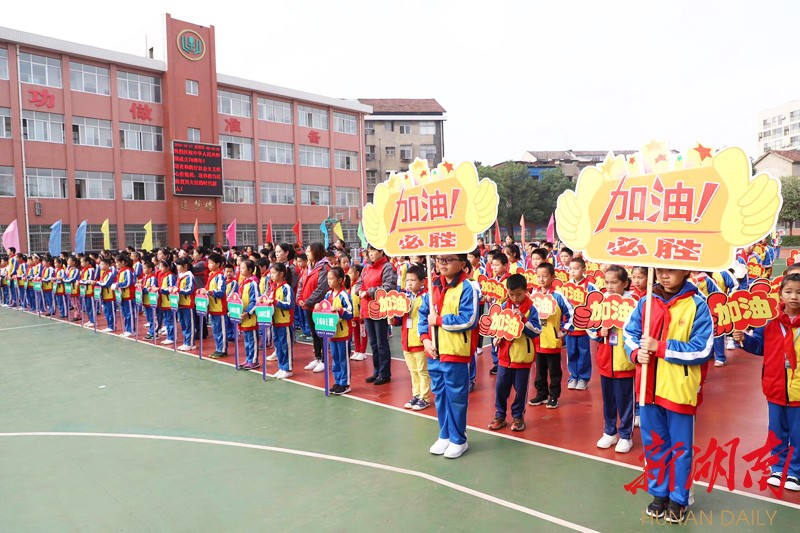 临澧县小学创新项目，引领教育未来，培育新星崛起