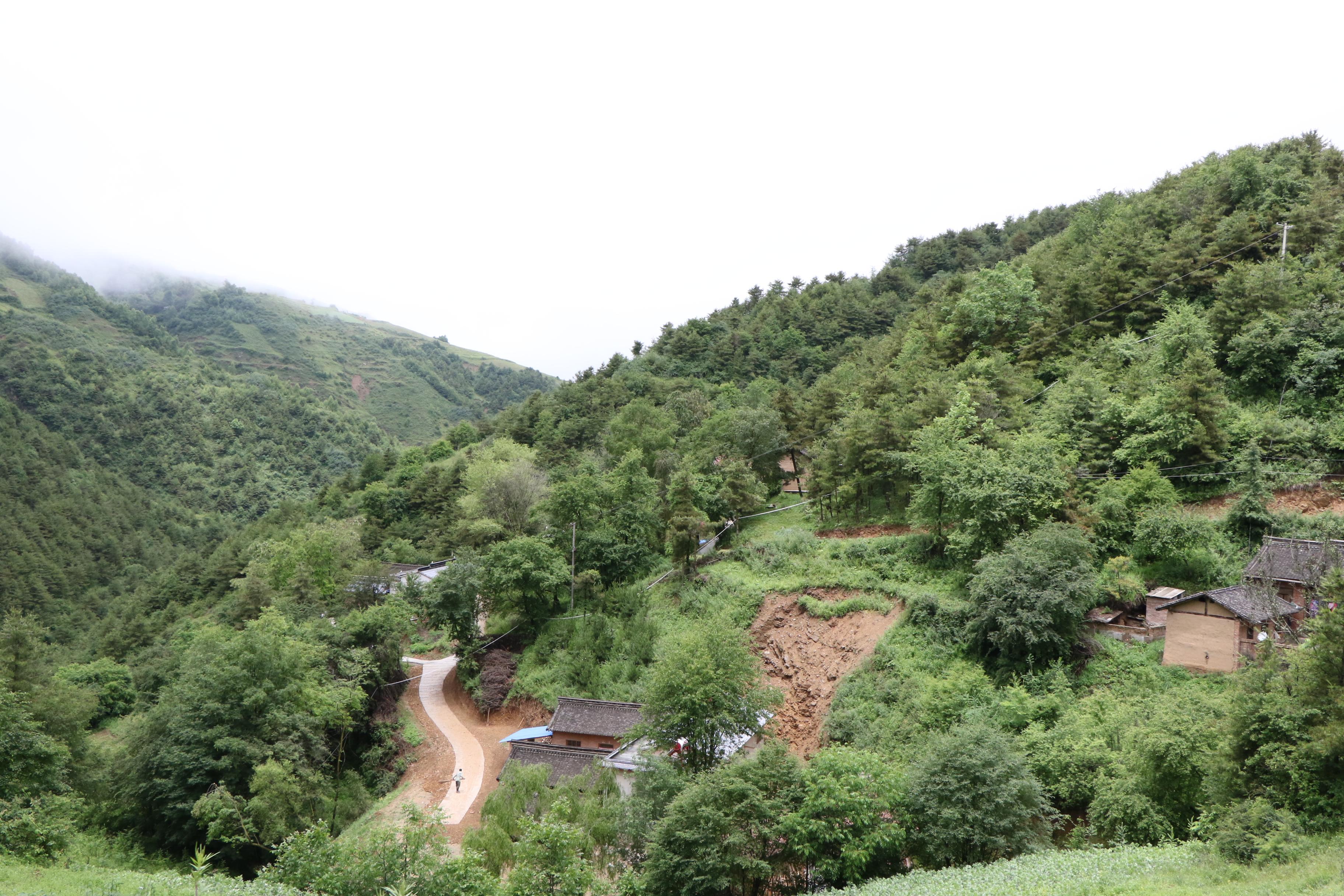 汪家山村委会最新动态报道