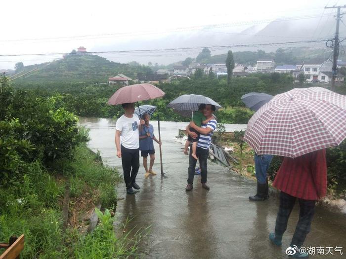 仙师乡天气预报更新通知