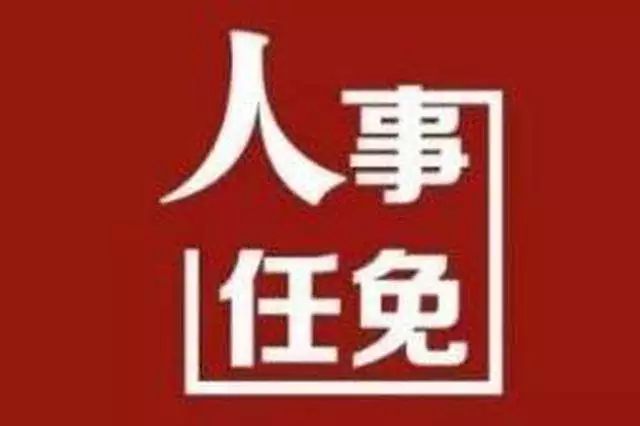 新新街道人事任命揭晓，塑造未来城市新篇章的领导者