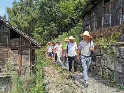 友谊县农业农村局推动农业现代化，助力乡村振兴新动态