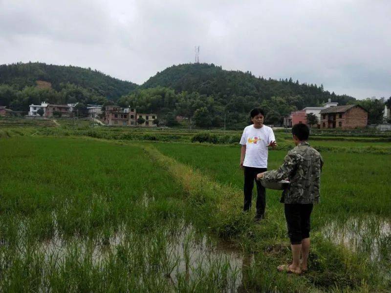 上栗县农业农村局最新动态报道