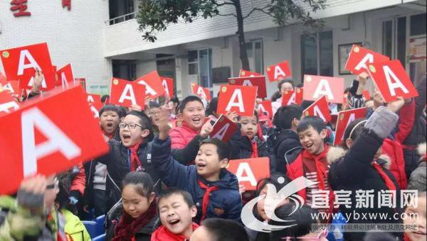 翠屏区小学未来教育蓝图，最新发展规划揭秘