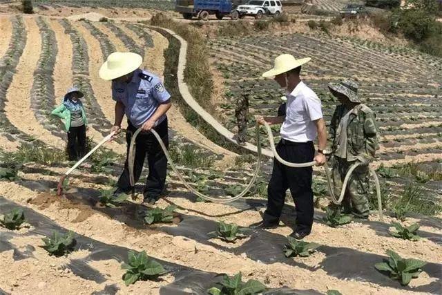 高仓村委会领导概览最新一览表