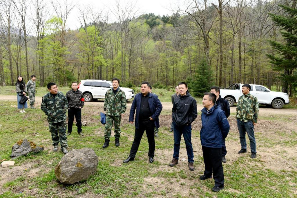 石砬山林场绿色项目，探索与实践可持续发展之路